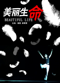 白夜追凶在线观看免费观看